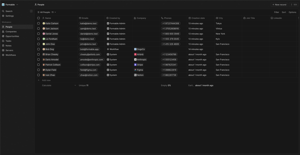 screenshot of self hosted Twenty